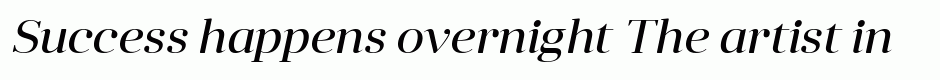 Anglecia Pro Display Italic