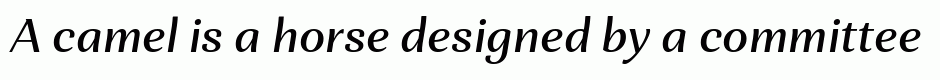 Orchidea Pro Medium Italic