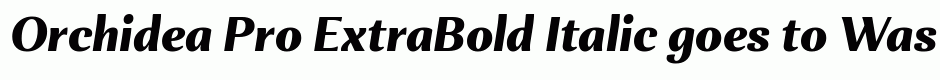 Orchidea Pro ExtraBold Italic