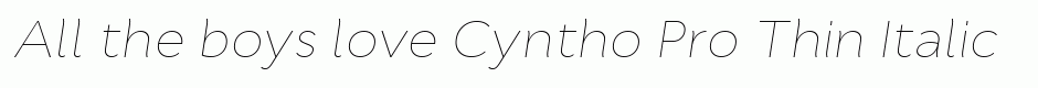 Cyntho Pro Thin Italic