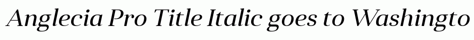 Anglecia Pro Title Italic