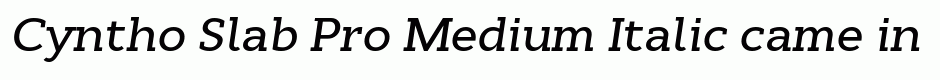 Cyntho Slab Pro Medium Italic