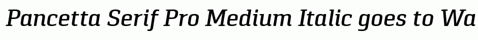 Pancetta Serif Pro Medium Italic