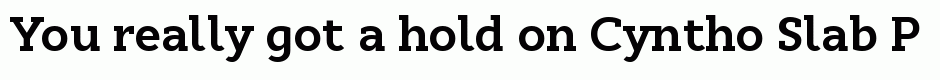 Cyntho Slab Pro Bold