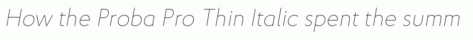Proba Pro Thin Italic
