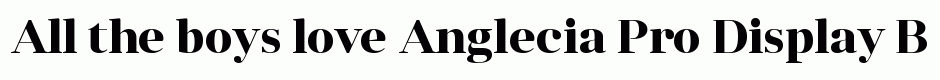 Anglecia Pro Display Bold