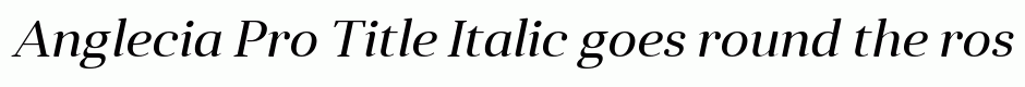 Anglecia Pro Title Italic