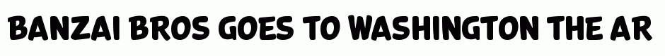 Banzai Bros