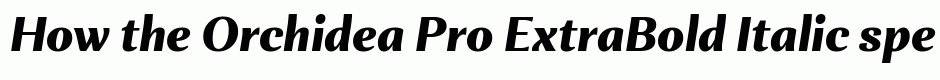 Orchidea Pro ExtraBold Italic