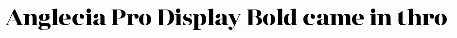 Anglecia Pro Display Bold