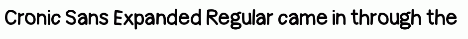 Cronic Sans Expanded Regular