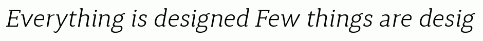 Synerga Pro Light Italic