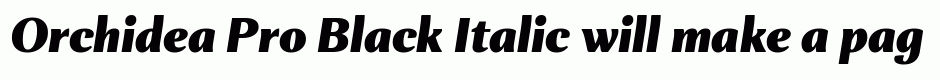 Orchidea Pro Black Italic
