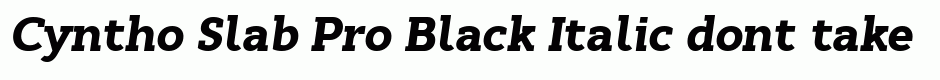 Cyntho Slab Pro Black Italic
