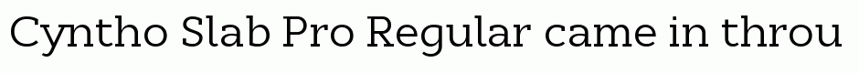 Cyntho Slab Pro Regular