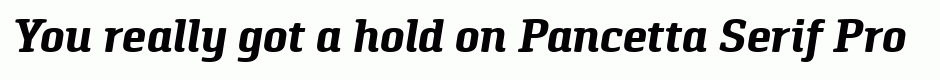 Pancetta Serif Pro Bold Italic