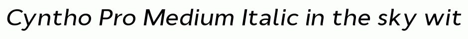 Cyntho Pro Medium Italic