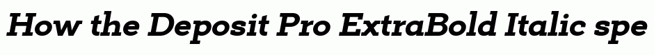 Deposit Pro ExtraBold Italic