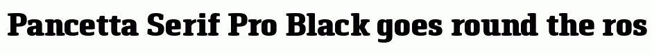 Pancetta Serif Pro Black