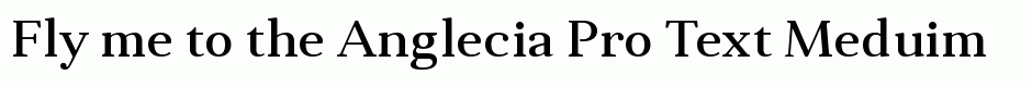 Anglecia Pro Text Meduim