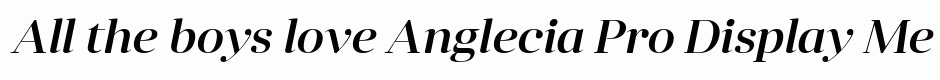 Anglecia Pro Display Medium Italic