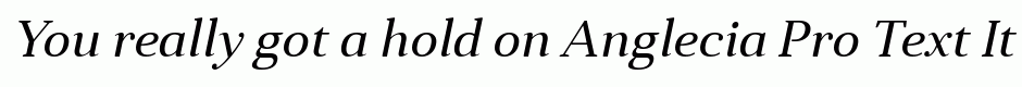 Anglecia Pro Text Italic
