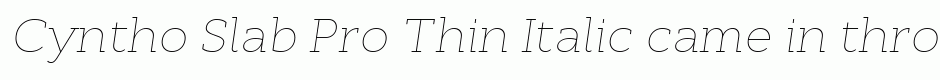 Cyntho Slab Pro Thin Italic