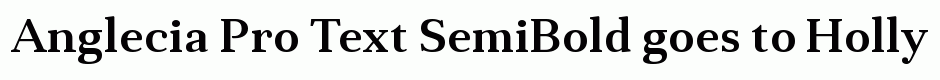 Anglecia Pro Text SemiBold