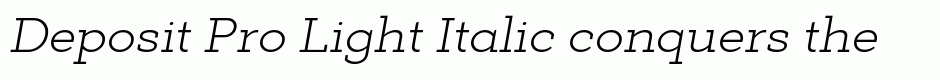 Deposit Pro Light Italic