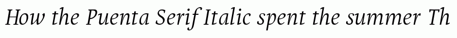Puenta Serif Italic
