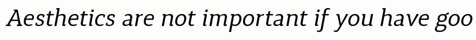 Synerga Pro Italic