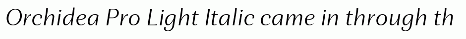 Orchidea Pro Light Italic