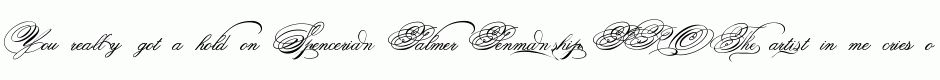 Spencerian Palmer Penmanship PRO