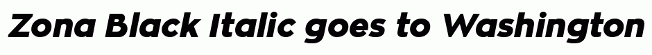 Zona Black Italic