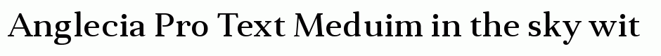 Anglecia Pro Text Meduim