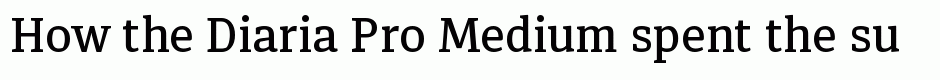 Diaria Pro Medium