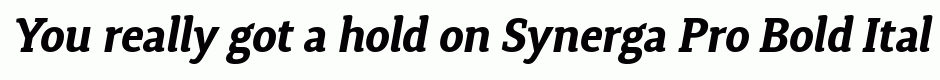 Synerga Pro Bold Italic
