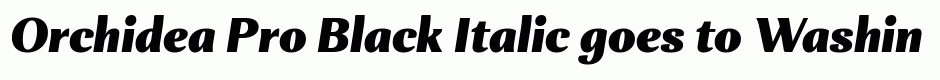 Orchidea Pro Black Italic