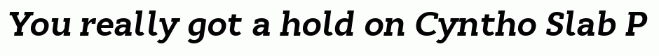 Cyntho Slab Pro Bold Italic