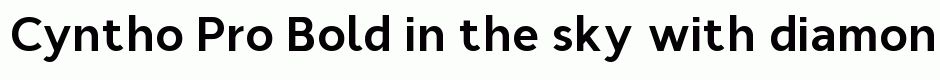 Cyntho Pro Bold