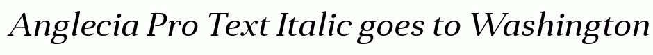 Anglecia Pro Text Italic