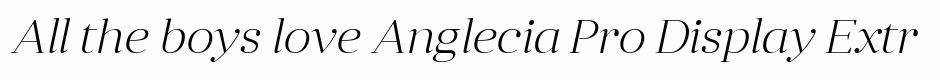 Anglecia Pro Display ExtraLight Italic