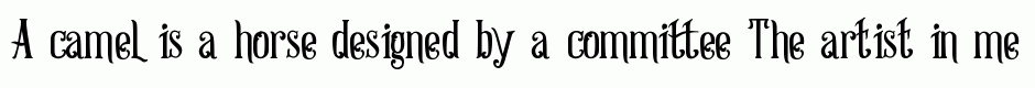 Strongwill Typeface Regular