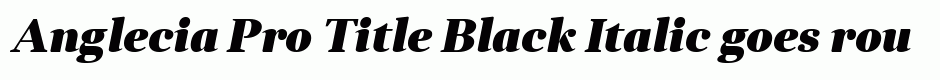 Anglecia Pro Title Black Italic