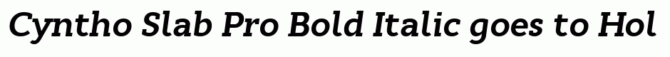 Cyntho Slab Pro Bold Italic