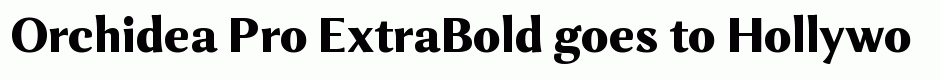 Orchidea Pro ExtraBold