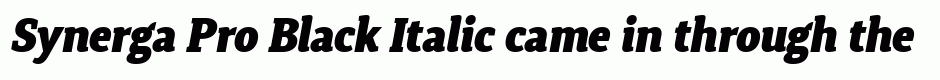 Synerga Pro Black Italic