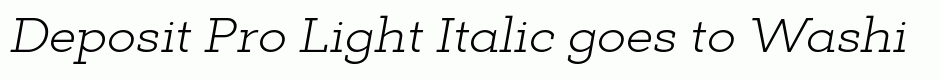 Deposit Pro Light Italic