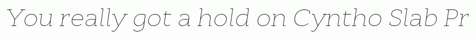 Cyntho Slab Pro Thin Italic