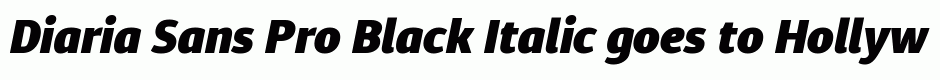 Diaria Sans Pro Black Italic